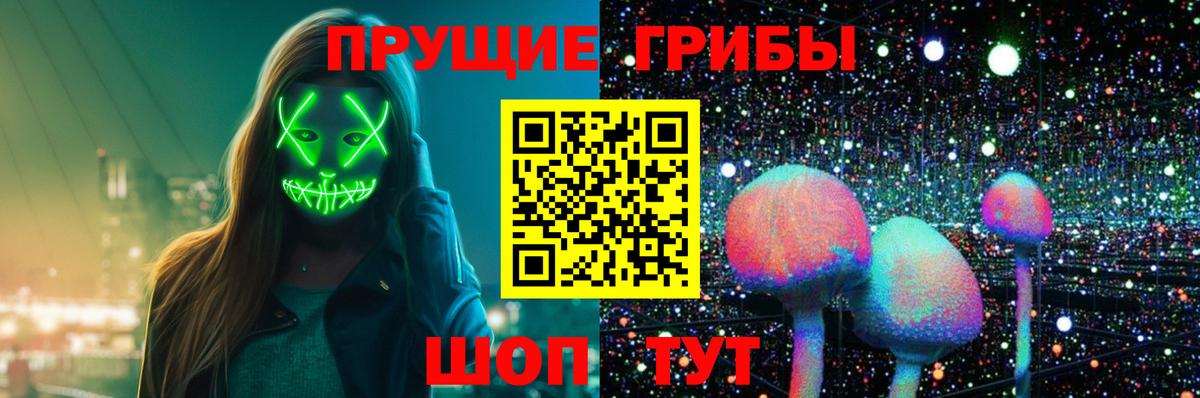Псилоцибиновые грибы GOLDEN TEACHER  Вход с VPN  Новотроицк 